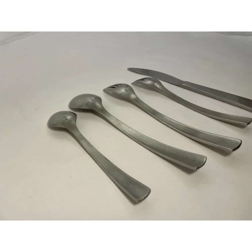 Ikea stainless steel steel flatware (5 piece set)